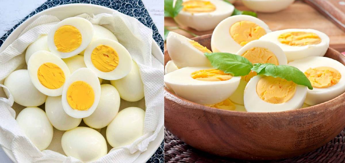 ഒരു ദിവസം ഒരാള്‍ക്ക് എത്ര മുട്ട കഴിക്കാം? കൊളസ്‌ട്രോള്‍ നിയന്ത്രിക്കാന്‍ മുട്ട സഹായിക്കുമോ?