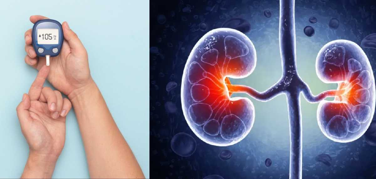 പ്രമേഹത്തിന് മരുന്ന് കഴിക്കുന്നവരുടെ കിഡ്ണി തകരാറിലാകുമോ? പ്രമേഹ നെഫ്രോപ്പതിക്ക് കാരണം എന്തെന്നറിയാം