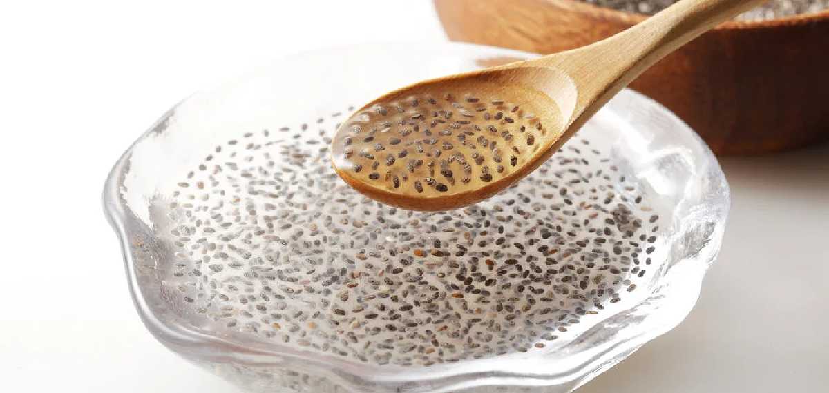 ചിയ സീഡ്സ് എത്ര സമയം വെള്ളത്തില് കുതിര്ക്കണം; അറിയാം
