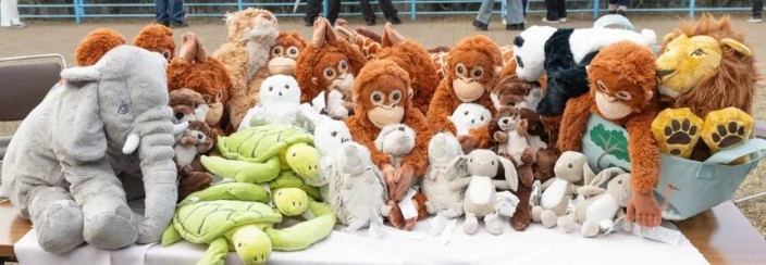 Orangutan toys