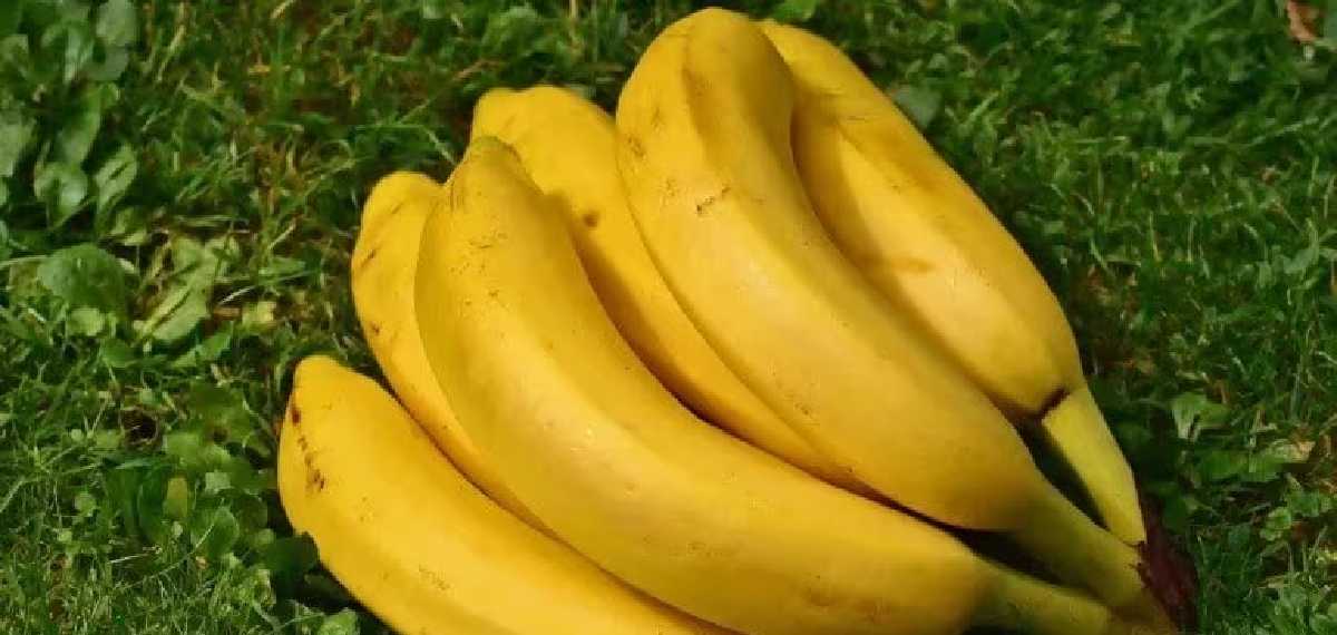 shouldnt-drink-water-immediately-after-eating-a-banana