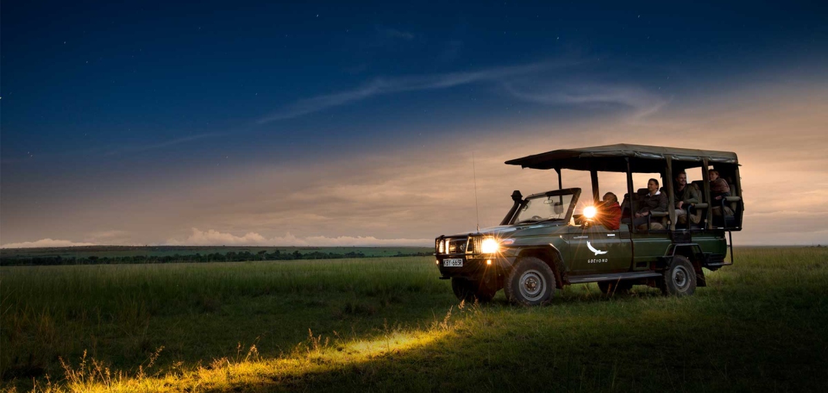 Night safari