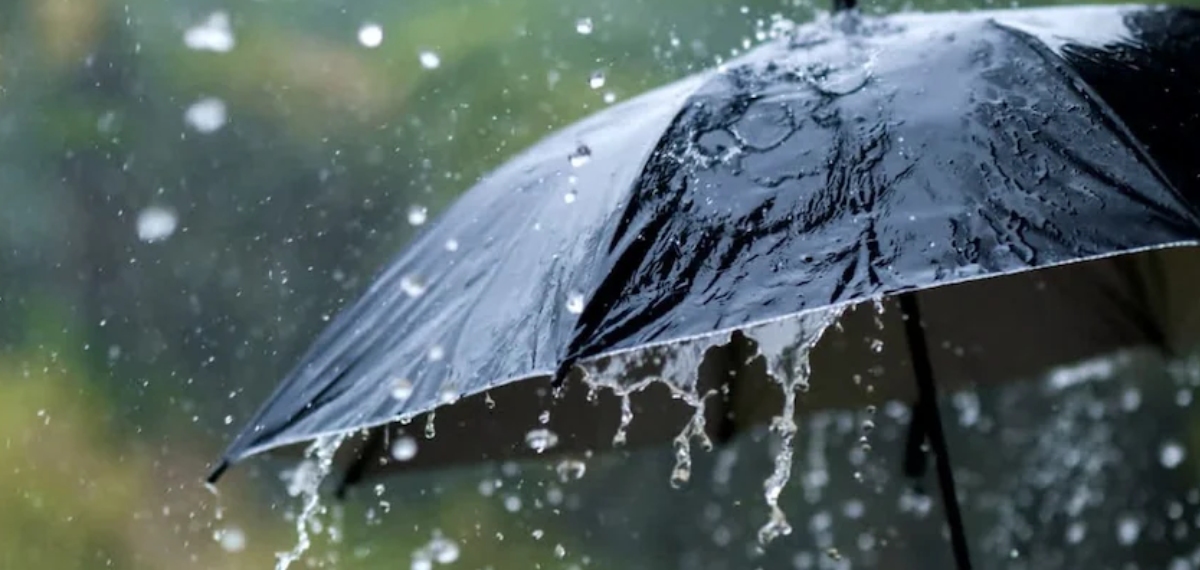 മഴ വരുന്നൂ...; സംസ്ഥാനത്ത് നാളെയും മറ്റന്നാളും ഒറ്റപ്പെട്ടയിടങ്ങളിൽ മഴയ്ക്ക് സാധ്യത