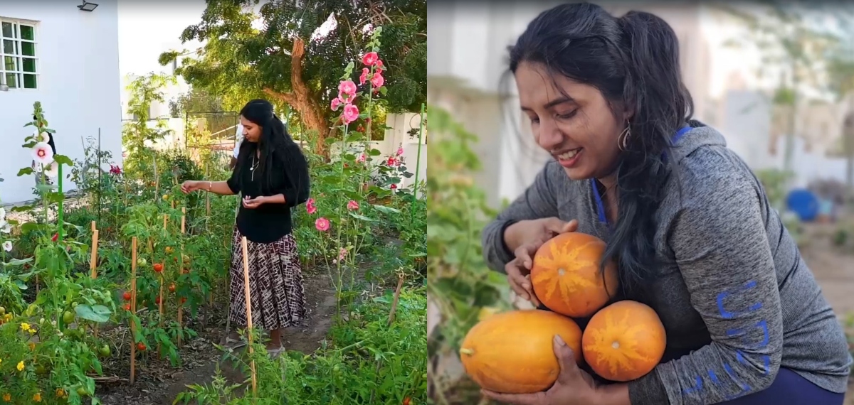 ഒമാനിലെ മരുഭൂമിയിൽ നൂറുമേനി വിളവുമായി മലയാളി വീട്ടമ്മ; മസ്കറ്റ് ന​ഗരത്തിൽ പച്ചക്കറിതോട്ടം