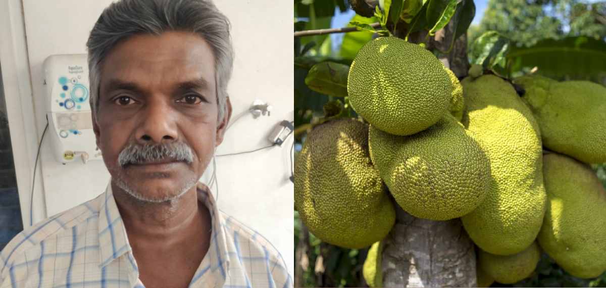 കയറിൽ കെട്ടിയിറക്കിയ ചക്ക ചോദിക്കാതെ എടുത്തുകൊണ്ടുപോയ അയൽവാസിയെ വെട്ടിക്കൊലപ്പെടുത്തി; പ്രതിക്ക് ജീവപര്യന്തം