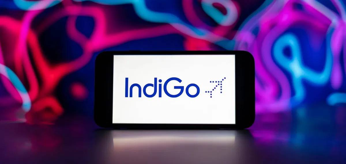 indigo