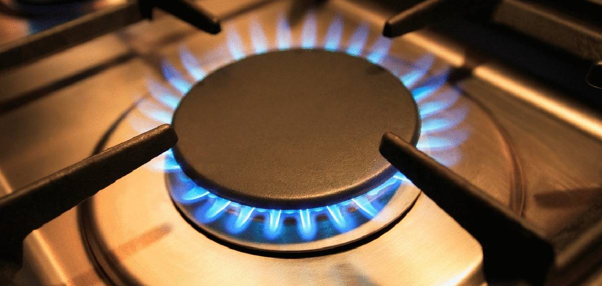 രാജ്യത്ത് സിറ്റി ഗ്യാസ് പദ്ധതി വ്യാപകമാക്കുന്നു; പിഎന്‍ജിക്ക് കൂടുതല്‍ പ്രാധാന്യം നല്‍കും