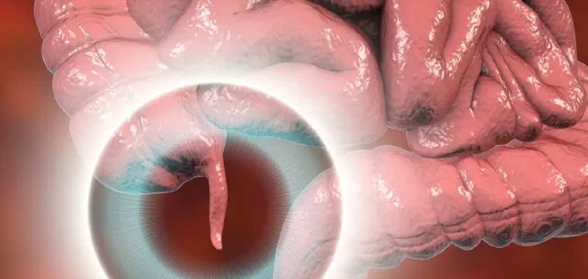  live a normal life even without some organs