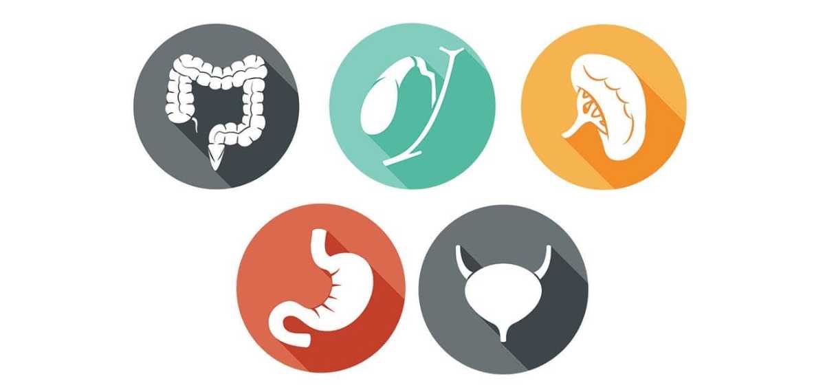  live a normal life even without some organs