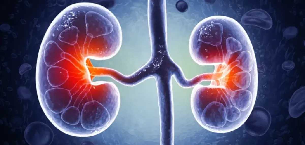 kidney disease