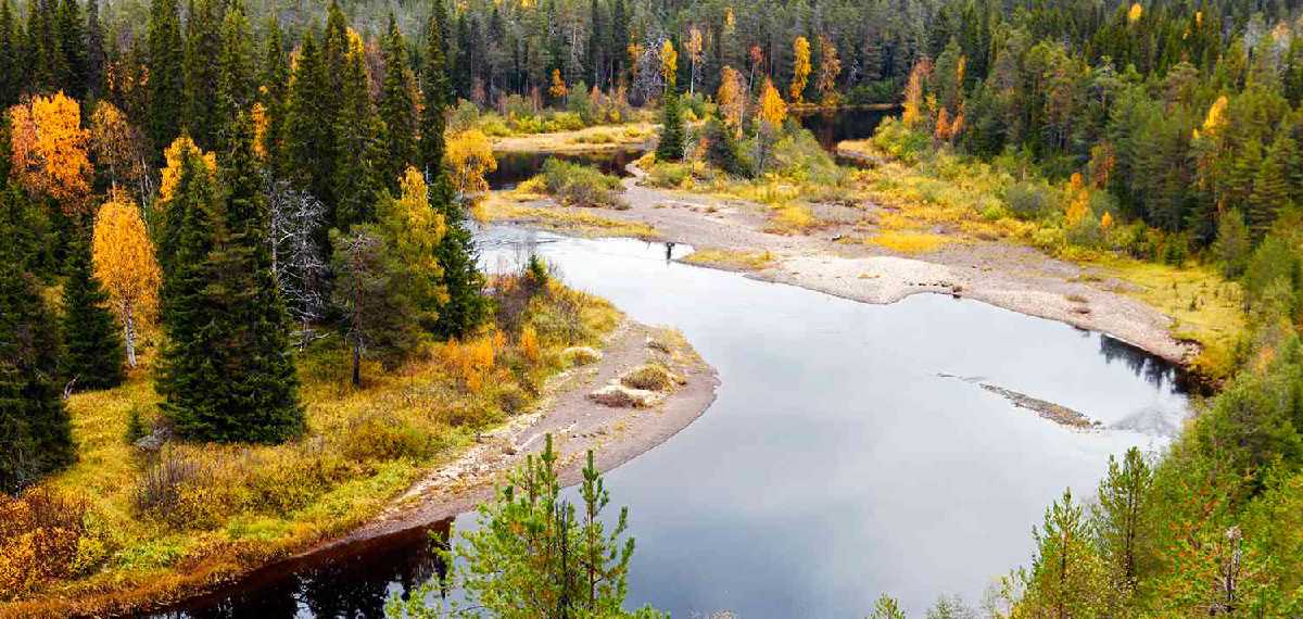 finland happiest country