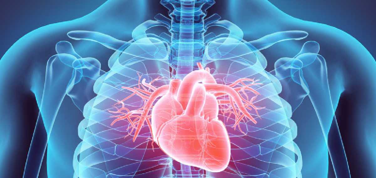 heart attack symptoms