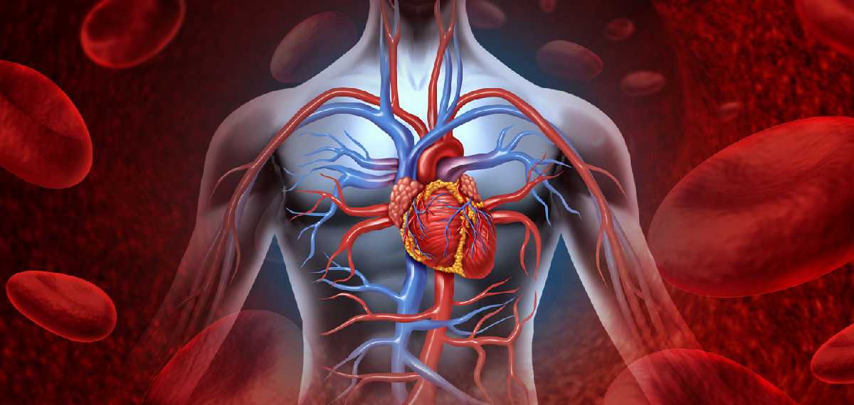 heart attack symptoms