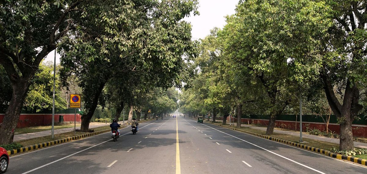 ഡൽഹിയിൽ എത്ര മരങ്ങളുണ്ട്? 2.9 കോടി ചിലവിട്ട് സെൻസസ് നടത്താൻ കേന്ദ്രസർക്കാർ