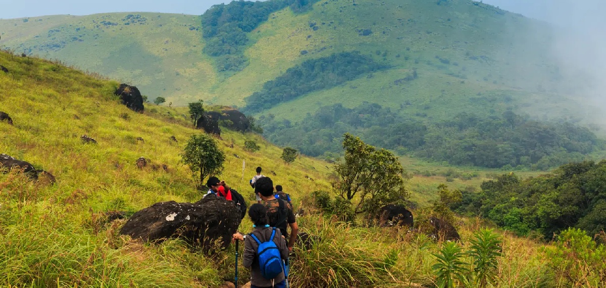 ശരണ്യ കുടുങ്ങിയ സംഭവം; തടിയന്‍ഡമോള്‍ ട്രെക്കിങ്ങിന് താത്ക്കാലിക വിലക്ക്
