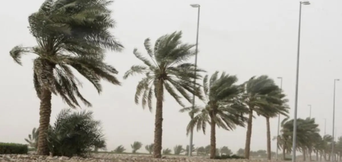 ഖത്തറിൽ വരും ദിവസങ്ങളിൽ ശക്തമായ കാറ്റിന് സാധ്യത; മുന്നറിയിപ്പുമായി കാലാവസ്ഥാ കേന്ദ്രം