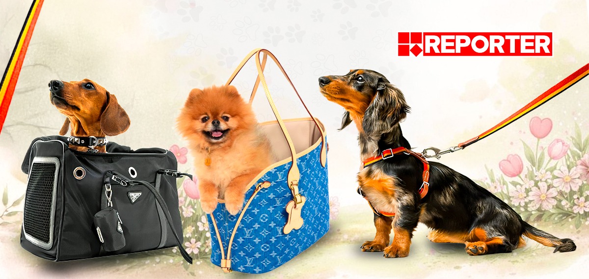 മനുഷ്യർ മാത്രം സ്റ്റൈൽ ആയി നടന്ന മതിയോ? നമ്മുടെ ഓമന മൃഗങ്ങൾക്കും വേണ്ടേ കുറച്ച്‌ സ്റ്റൈലൊക്കെ!