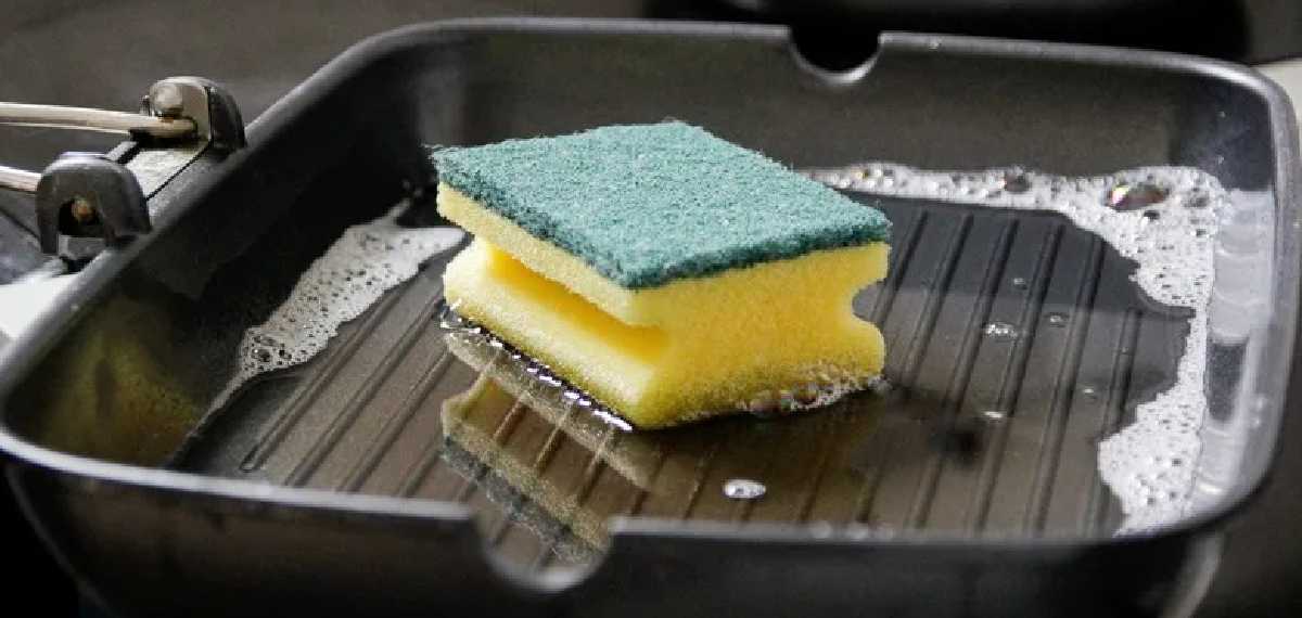 kitchen sponge