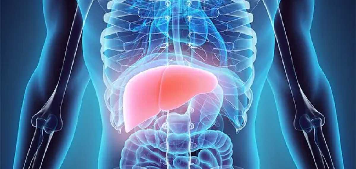 last stage of liver cirrhosis