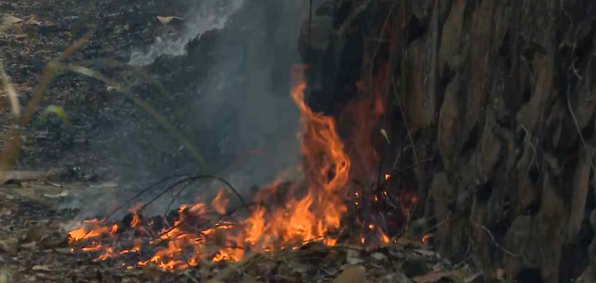 തിരുവനന്തപുരം മലയിന്‍കീഴ് മുക്കുന്നിമലയില്‍ തീപിടിത്തം; കെടുത്തിയ സ്ഥലങ്ങളില്‍ വീണ്ടും തീ പിടിക്കുന്നു