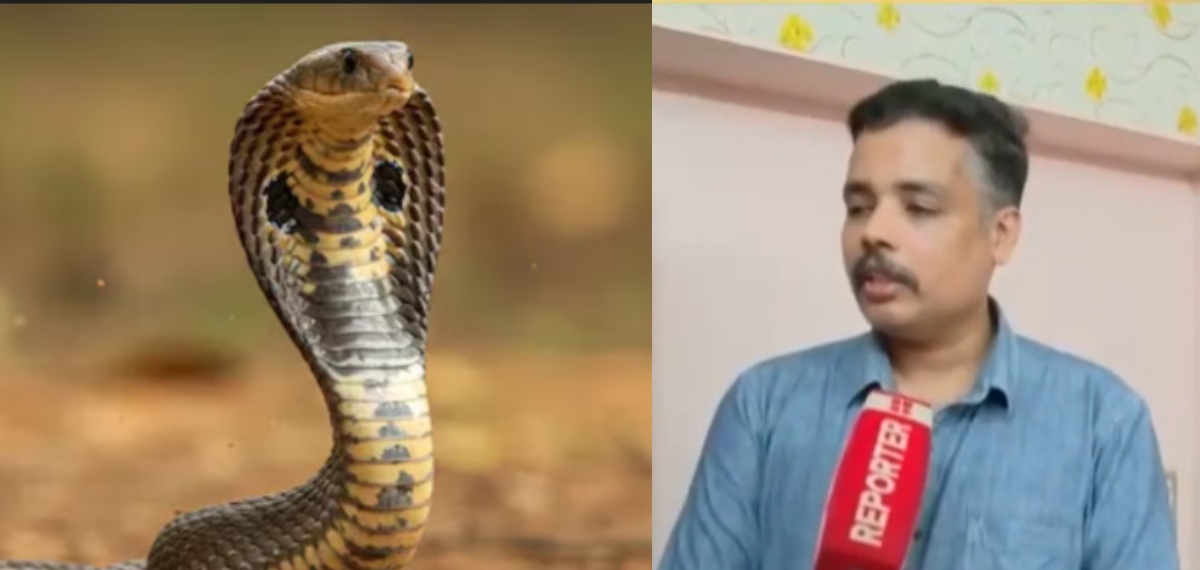 'പാമ്പ് കടിയേറ്റ മുറിവിന് മുകളില്‍ തുണി മുറുക്കി കെട്ടരുത്, സോപ്പിട്ട് കഴുകരുത്': ഡോ. പ്രവീണ്‍