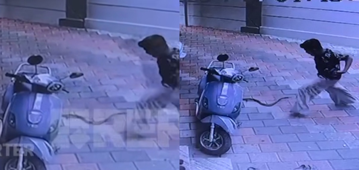 VIDEO: വണ്ടിയില്‍ നിന്നും സാധനമെടുക്കവെ ദേഹത്തേക്ക് ചാടി പാമ്പ്; വിദ്യാര്‍ത്ഥിക്ക് അത്ഭുത രക്ഷപ്പെടല്‍