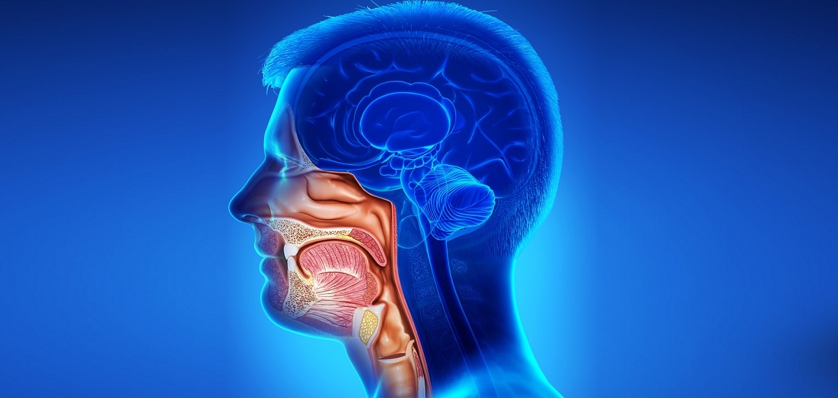 cancer in head and neck