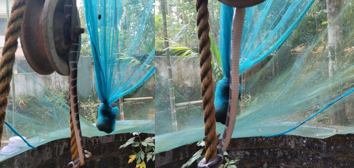 വെള്ളം കോരുന്നതിനിടെ കയ്യിൽ എന്തോ തട്ടി, നോക്കുമ്പോൾ കയറിൽ ശംഖുവരയൻ; സ്ത്രീ രക്ഷപ്പെട്ടത് തലനാരിഴയ്ക്ക്