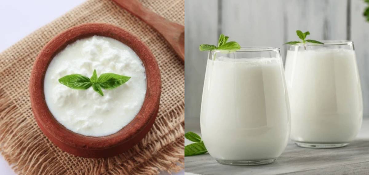  eat yogurt at night
