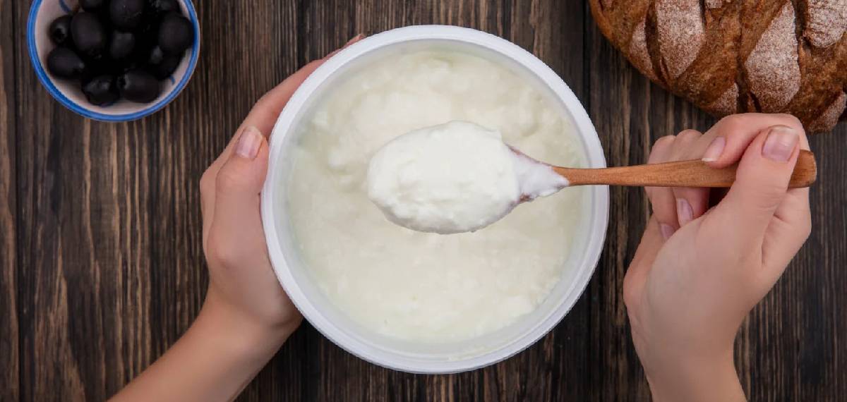 eat yogurt at night