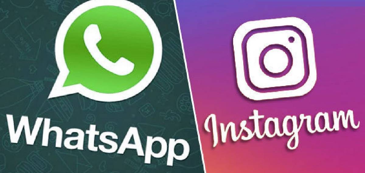 WhatsApp Instagram  