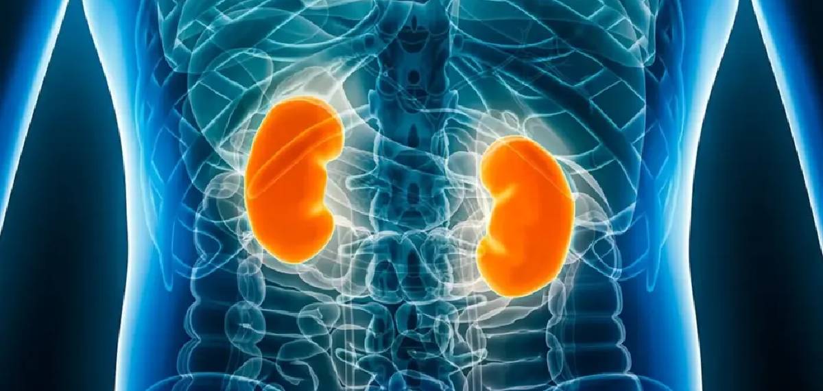 kidney health after 40