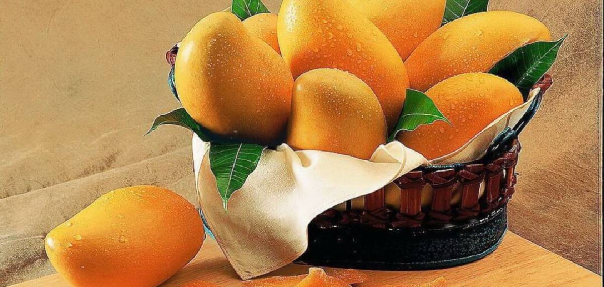 Can diabetics eat mangoes