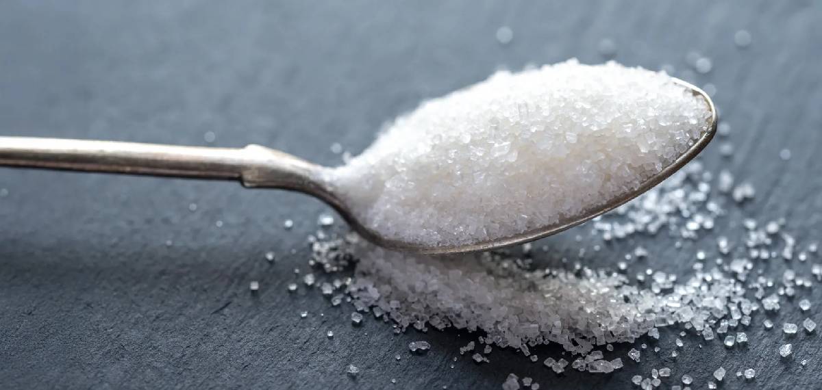sugar free