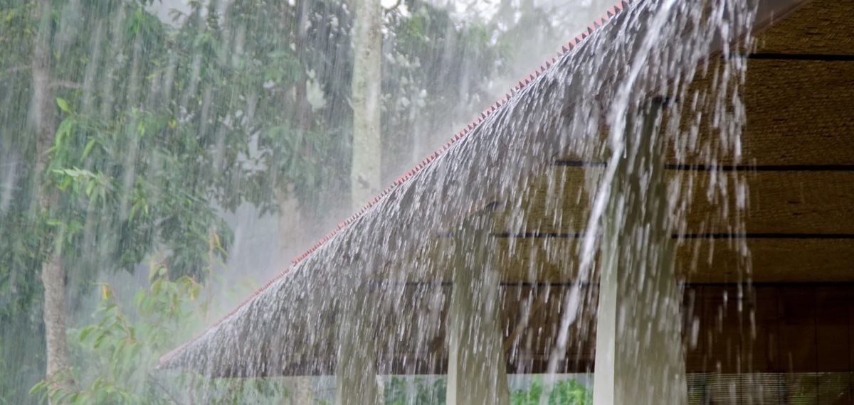 മഴ കനക്കുന്നു; അടുത്ത 5 ദിവസം വ്യാപക മഴക്ക് സാധ്യത, ഇന്ന് എട്ട് ജില്ലകളിൽ മഴ മുന്നറിയിപ്പ്