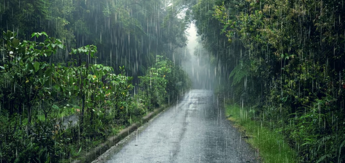 സംസ്ഥാനത്ത് മഴ മുന്നറിയിപ്പിൽ മാറ്റം; പത്ത് ജില്ലകളിൽ യെല്ലോ അലേർട്ട്