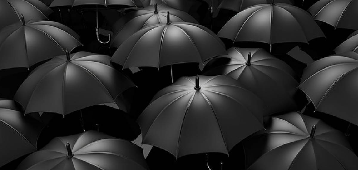 people using black umbrellas