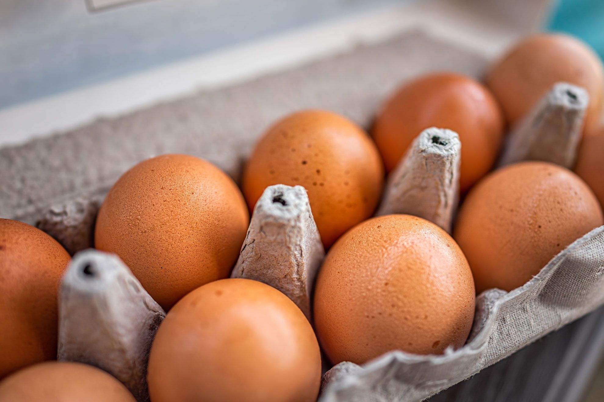 understand if an egg is stale