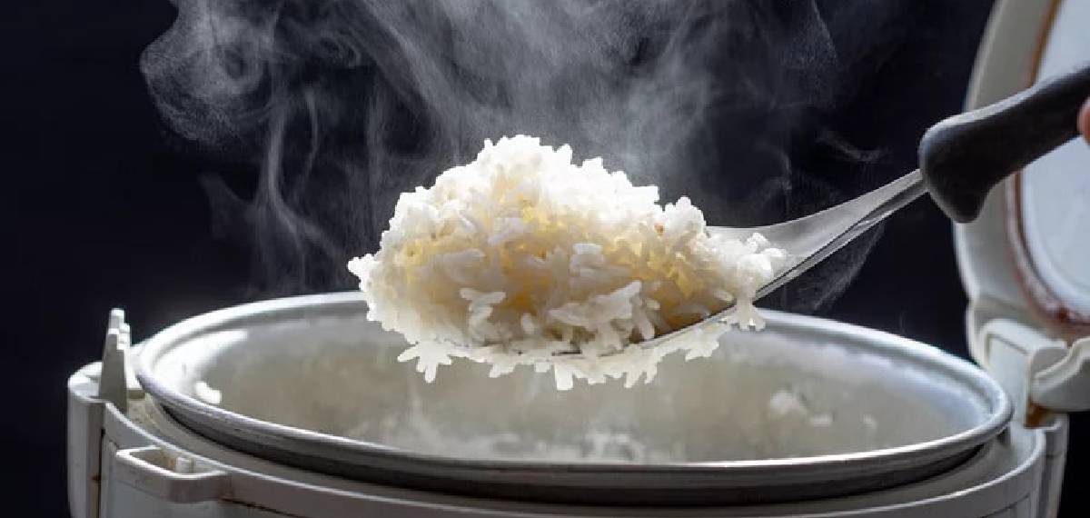  foods that can be poisonous
