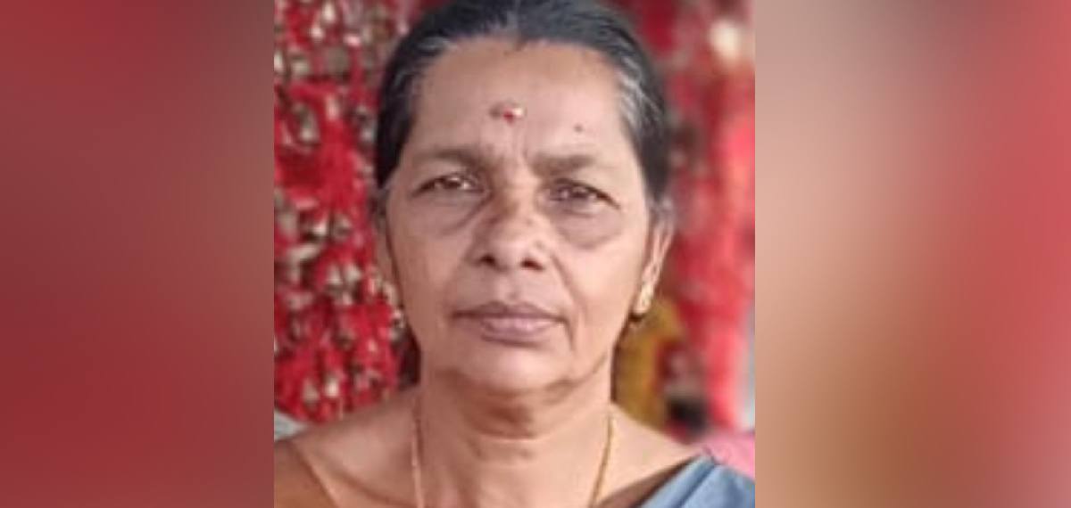 മാങ്ങ പറിക്കുന്നതിനിടെ അലുമിനിയം തോട്ടി വൈദ്യുതി ലൈനില്‍ തട്ടി; വൈക്കത്ത് വയോധികയ്ക്ക് ദാരുണാന്ത്യം