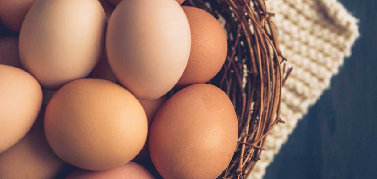 understand if an egg is stale