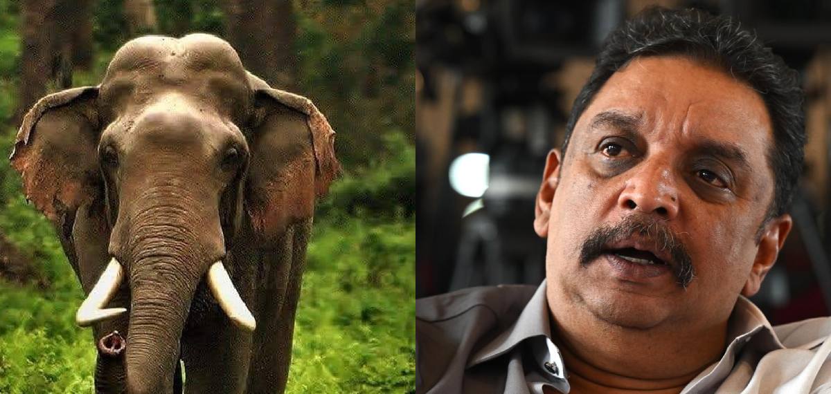 കാട്ടാന ആക്രമണം പരിശോധിക്കാന് എത്തിയ വനംമന്ത്രിയെ വഴിതടഞ്ഞ് കാട്ടാന