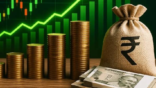 multibaggar stocks