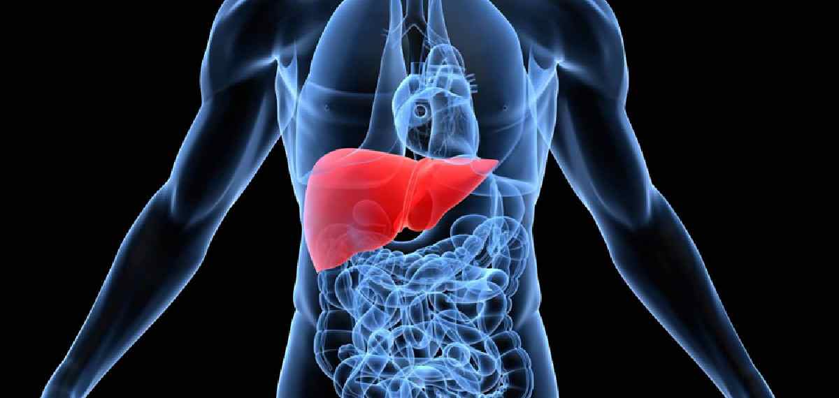 ways to protect against fatty liver disease