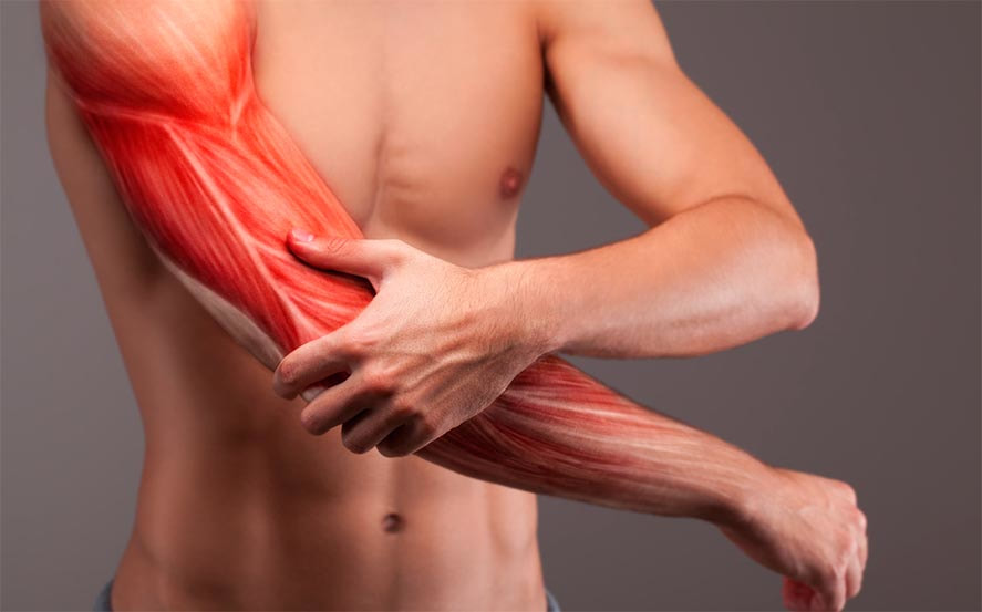 joint pain and muscle pain