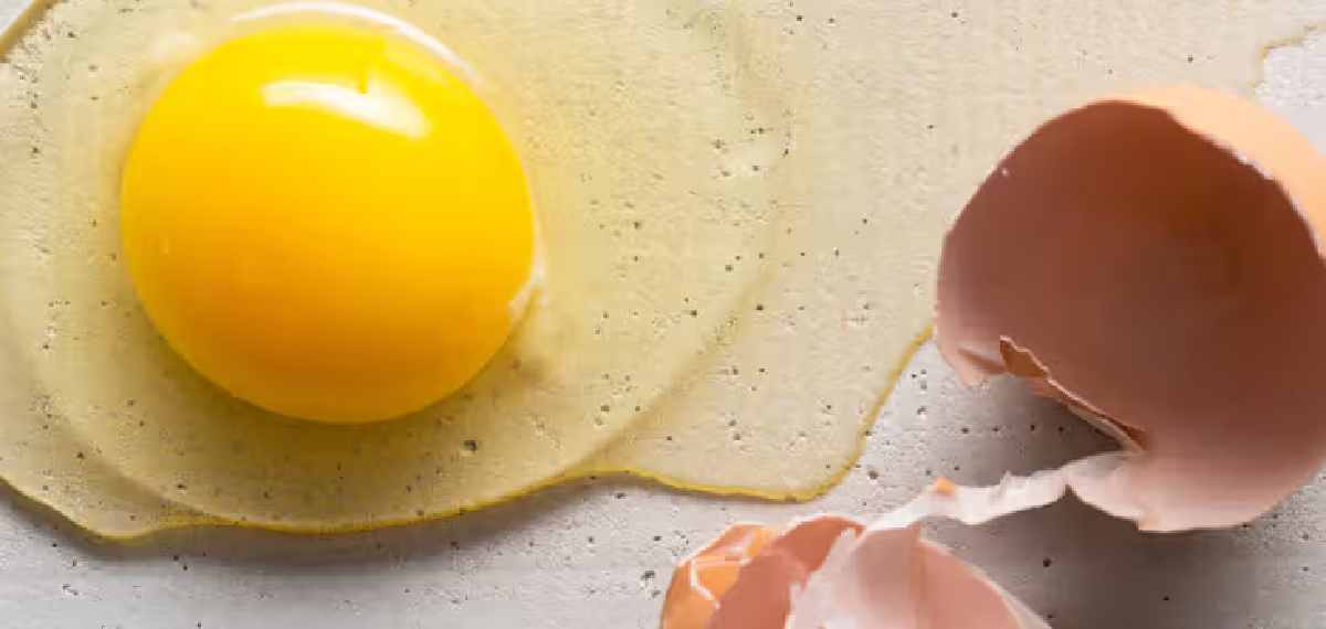 raw egg eating
