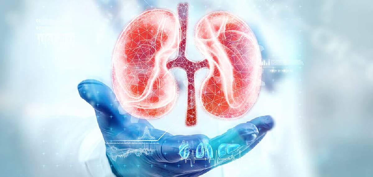 kidney health