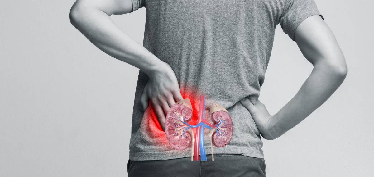 kidney health