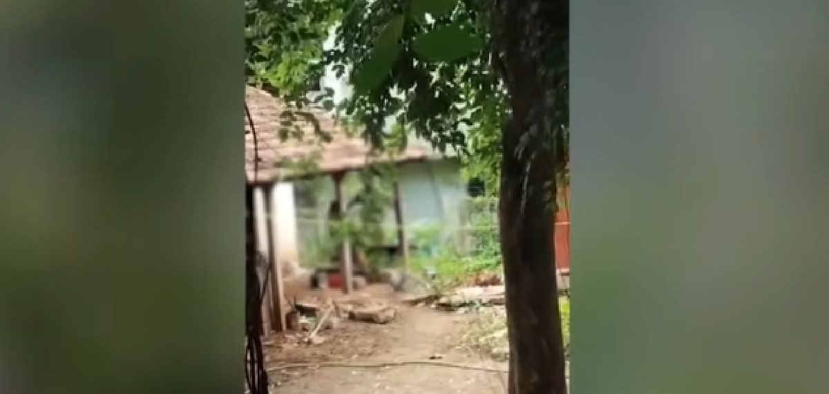 പാലക്കാട് അഞ്ചാം ക്ലാസുകാരിയായ മകളെ ക്രൂരമായി മര്‍ദിച്ച സംഭവം; പിതാവ് കസ്റ്റഡിയില്‍