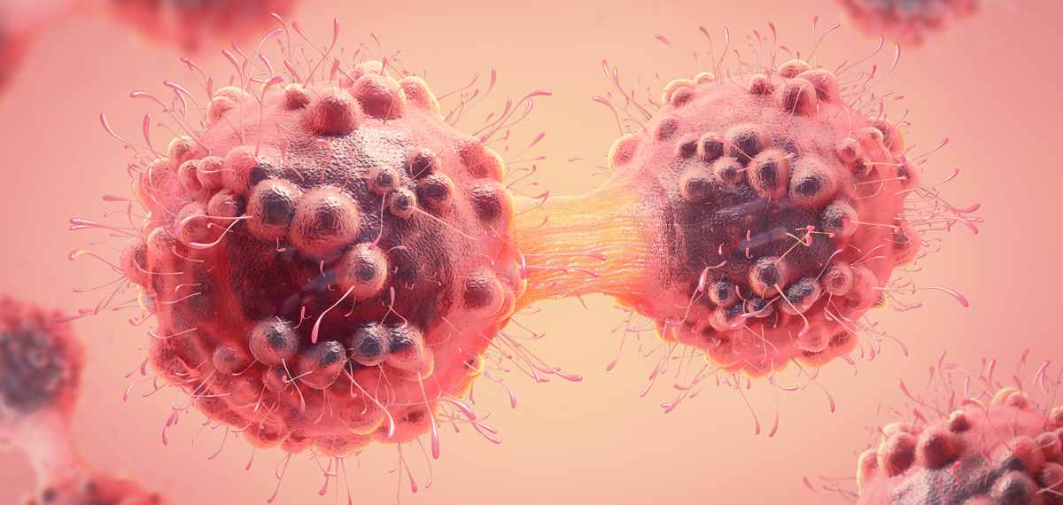 Nature study shows increased risk of cancer 